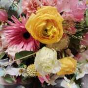 ヒメ日記 2026/01/13 06:48 投稿 せいこ 鹿児島ちゃんこ 薩摩川内店