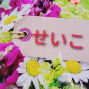 ヒメ日記 2026/01/22 20:17 投稿 せいこ 鹿児島ちゃんこ 薩摩川内店