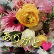 ヒメ日記 2026/01/24 06:21 投稿 せいこ 鹿児島ちゃんこ 薩摩川内店