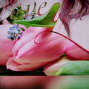 ヒメ日記 2026/02/07 16:55 投稿 せいこ 鹿児島ちゃんこ 薩摩川内店