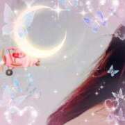 ヒメ日記 2026/03/08 17:44 投稿 せいこ 鹿児島ちゃんこ 薩摩川内店