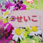 ヒメ日記 2026/03/25 20:19 投稿 せいこ 鹿児島ちゃんこ 薩摩川内店