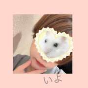 ヒメ日記 2025/04/12 11:21 投稿 いよ エンジェルシリカ