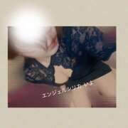 ヒメ日記 2025/09/06 13:10 投稿 いよ エンジェルシリカ