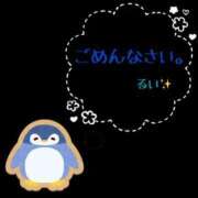 ヒメ日記 2024/03/25 12:26 投稿 るい 京都の痴女鉄道