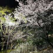 ヒメ日記 2025/04/04 22:32 投稿 るい 京都の痴女鉄道