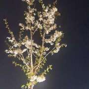 ヒメ日記 2026/03/28 07:36 投稿 るい 京都の痴女鉄道