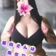 ヒメ日記 2025/09/20 14:29 投稿 萬田 BBW（ビッグビューティフルウーマン）