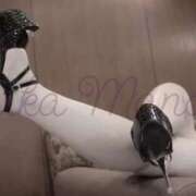 ヒメ日記 2025/10/18 10:19 投稿 萬田 BBW（ビッグビューティフルウーマン）