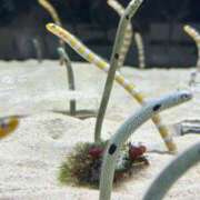 ヒメ日記 2024/12/11 10:12 投稿 しずる モアグループ春日部人妻城