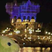 ヒメ日記 2025/09/17 00:35 投稿 ひなの 上野ハンドメイド