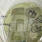 ヒメ日記 2025/10/29 01:05 投稿 ひなの 上野ハンドメイド