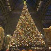 ヒメ日記 2025/11/26 18:15 投稿 ひなの 上野ハンドメイド