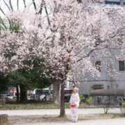 ヒメ日記 2025/04/22 19:35 投稿 ナナ ソープランド マックス