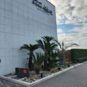 ヒメ日記 2025/11/29 17:27 投稿 岬（みさき） 熟女の風俗最終章 大宮店