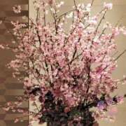 ヒメ日記 2026/03/08 02:45 投稿 岬（みさき） 熟女の風俗最終章 大宮店