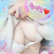 ヒメ日記 2025/10/22 09:09 投稿 植村はるみ 一夜妻