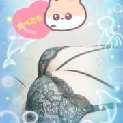 ヒメ日記 2025/10/27 12:52 投稿 植村はるみ 一夜妻