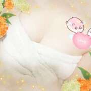 ヒメ日記 2025/11/11 11:39 投稿 植村はるみ 一夜妻