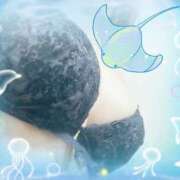 ヒメ日記 2025/11/15 11:29 投稿 植村はるみ 一夜妻