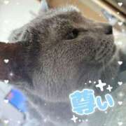 ヒメ日記 2026/01/24 11:39 投稿 植村はるみ 一夜妻