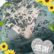 ヒメ日記 2026/07/13 13:29 投稿 植村はるみ 一夜妻