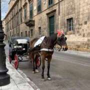 ヒメ日記 2026/01/09 17:03 投稿 のぞむ もしも優しいお姉さんが本気になったら...横浜店