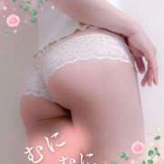 ヒメ日記 2025/04/20 09:00 投稿 ふうか 奥鉄オクテツ東京店（デリヘル市場）