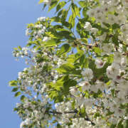 ヒメ日記 2026/03/28 18:45 投稿 ふうか 奥鉄オクテツ東京店（デリヘル市場）