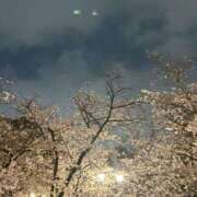 ヒメ日記 2026/03/29 22:30 投稿 ふうか 奥鉄オクテツ東京店（デリヘル市場）