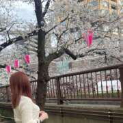 ヒメ日記 2025/04/12 19:03 投稿 まる One More 奥様　錦糸町店