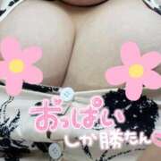 ヒメ日記 2025/04/07 20:08 投稿 あおば ぽちゃ巨乳専門　新大久保・新宿歌舞伎町ちゃんこ