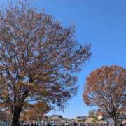 ヒメ日記 2025/12/08 10:23 投稿 佐藤 おふくろ