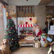 ヒメ日記 2025/12/15 10:14 投稿 佐藤 おふくろ