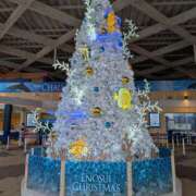 ヒメ日記 2025/12/17 10:15 投稿 佐藤 おふくろ