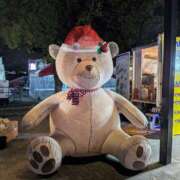 ヒメ日記 2025/12/22 10:14 投稿 佐藤 おふくろ