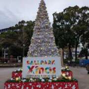 ヒメ日記 2025/12/23 10:20 投稿 佐藤 おふくろ