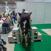 ヒメ日記 2026/01/14 10:11 投稿 佐藤 おふくろ