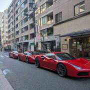 ヒメ日記 2026/01/21 10:10 投稿 佐藤 おふくろ