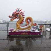 ヒメ日記 2026/02/13 10:39 投稿 佐藤 おふくろ