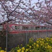 ヒメ日記 2026/02/23 10:53 投稿 佐藤 おふくろ