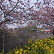 ヒメ日記 2026/03/16 16:26 投稿 佐藤 おふくろ