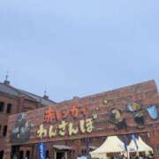 ヒメ日記 2026/03/24 10:49 投稿 佐藤 おふくろ