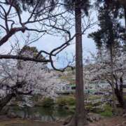 ヒメ日記 2026/04/14 10:15 投稿 佐藤 おふくろ