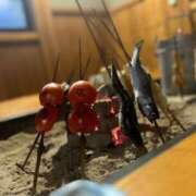 ヒメ日記 2025/03/07 22:40 投稿 月丘 光莉 30代40代50代と遊ぶなら博多人妻専科24時