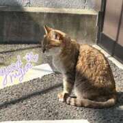 ヒメ日記 2025/03/09 22:11 投稿 月丘 光莉 30代40代50代と遊ぶなら博多人妻専科24時