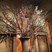 ヒメ日記 2025/03/14 09:04 投稿 月丘 光莉 30代40代50代と遊ぶなら博多人妻専科24時