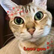 ヒメ日記 2025/04/07 22:39 投稿 月丘 光莉 30代40代50代と遊ぶなら博多人妻専科24時