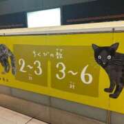 ヒメ日記 2025/04/14 22:36 投稿 月丘 光莉 30代40代50代と遊ぶなら博多人妻専科24時