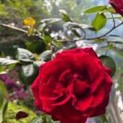 ヒメ日記 2025/05/10 21:35 投稿 月丘 光莉 30代40代50代と遊ぶなら博多人妻専科24時